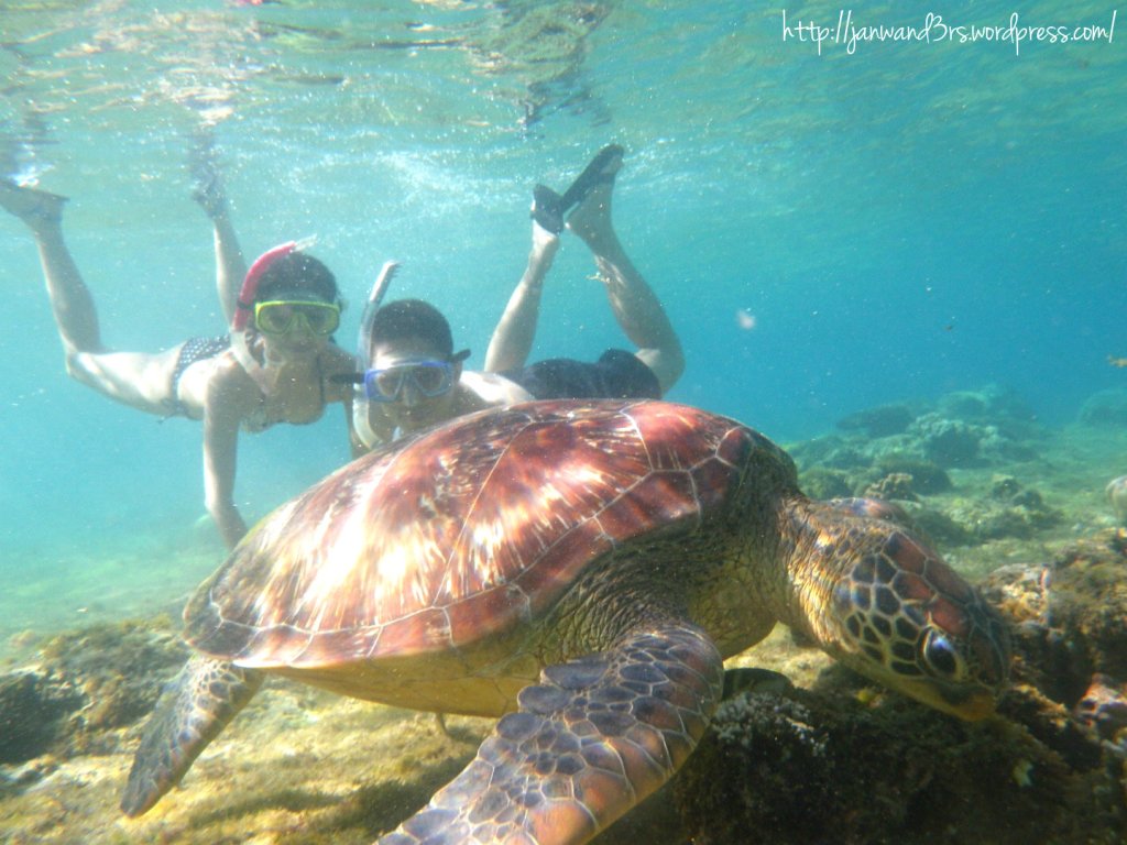 Dumaguete-Oslob-Siquijor Trip Day 1, Part I: Swimming With Turtles in Apo Island