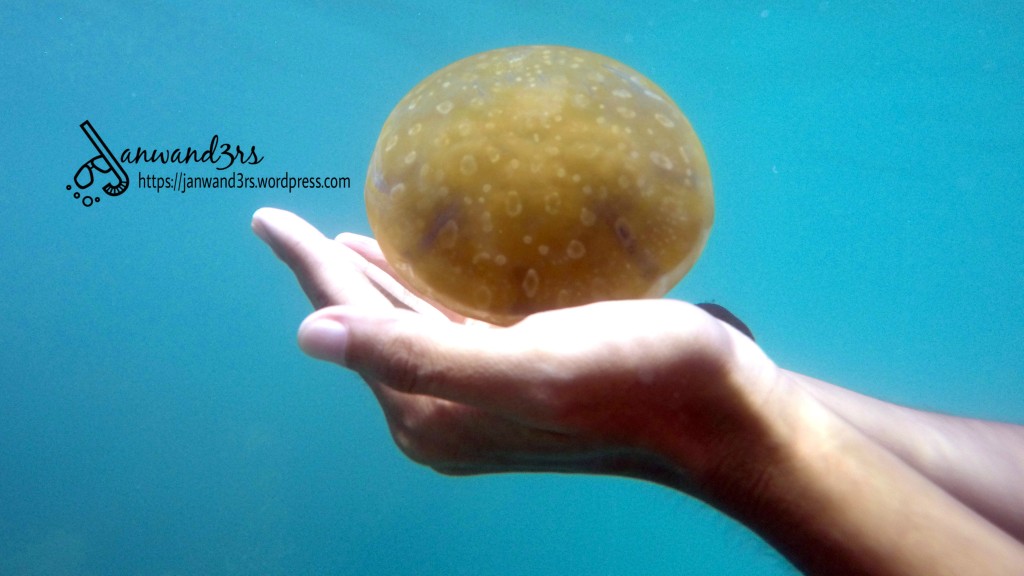 Bucas Grande Island Surigao: The Wonders of Sohoton Cove & Stingless Jellyfish Sanctuary