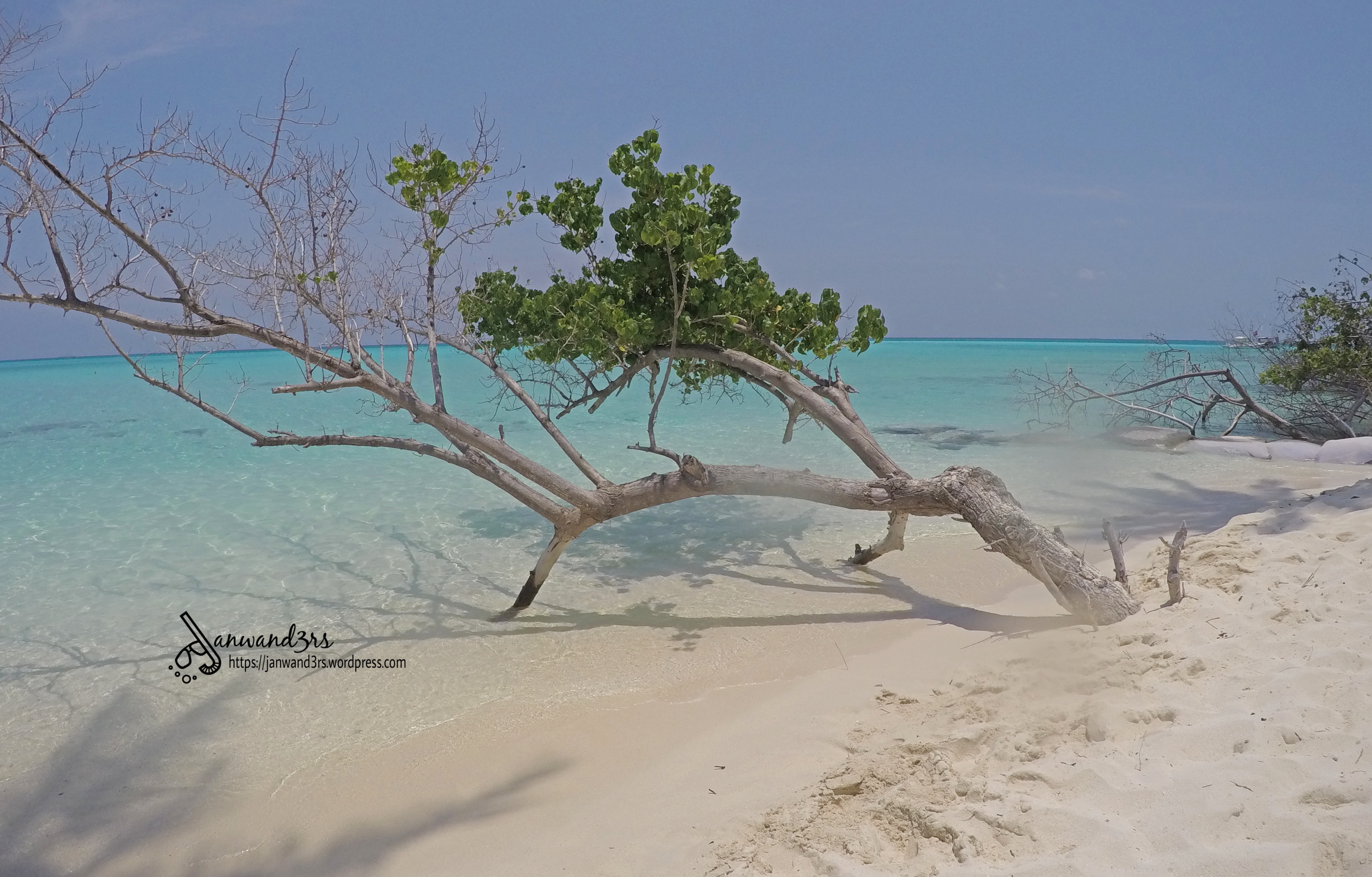 maldives-fulidhoo-island.jpg